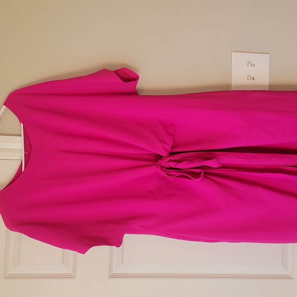 Fuschia Dress